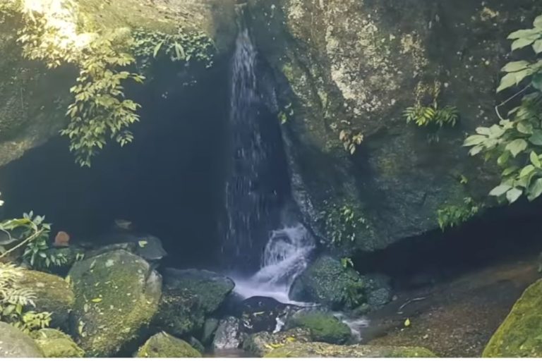 Cachoeira da gruta - Horto - Rio de janeiro - Brasil