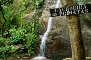 Cachoeira dos Primatas - Rio de Janeiro - Brasil